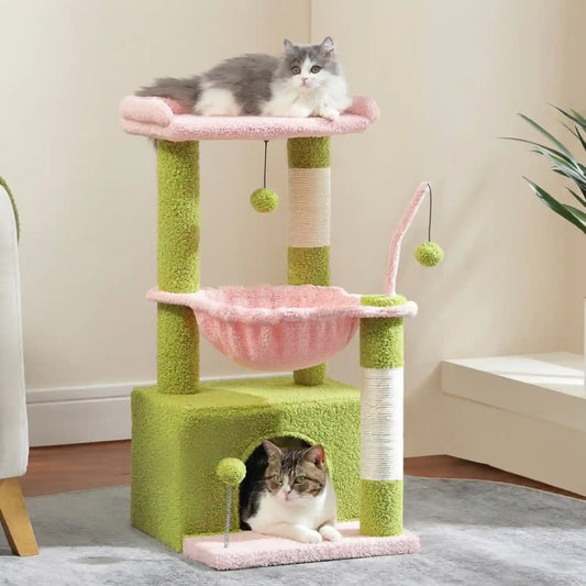 Arber -pour Chat Couleur
