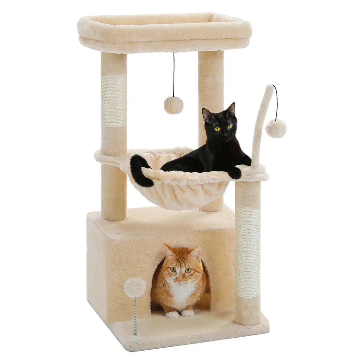 Arber -pour Chat Couleur