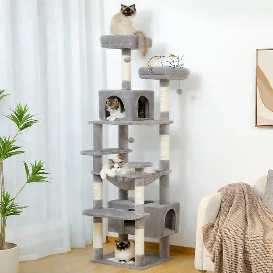 Arber pour Chat Couleur