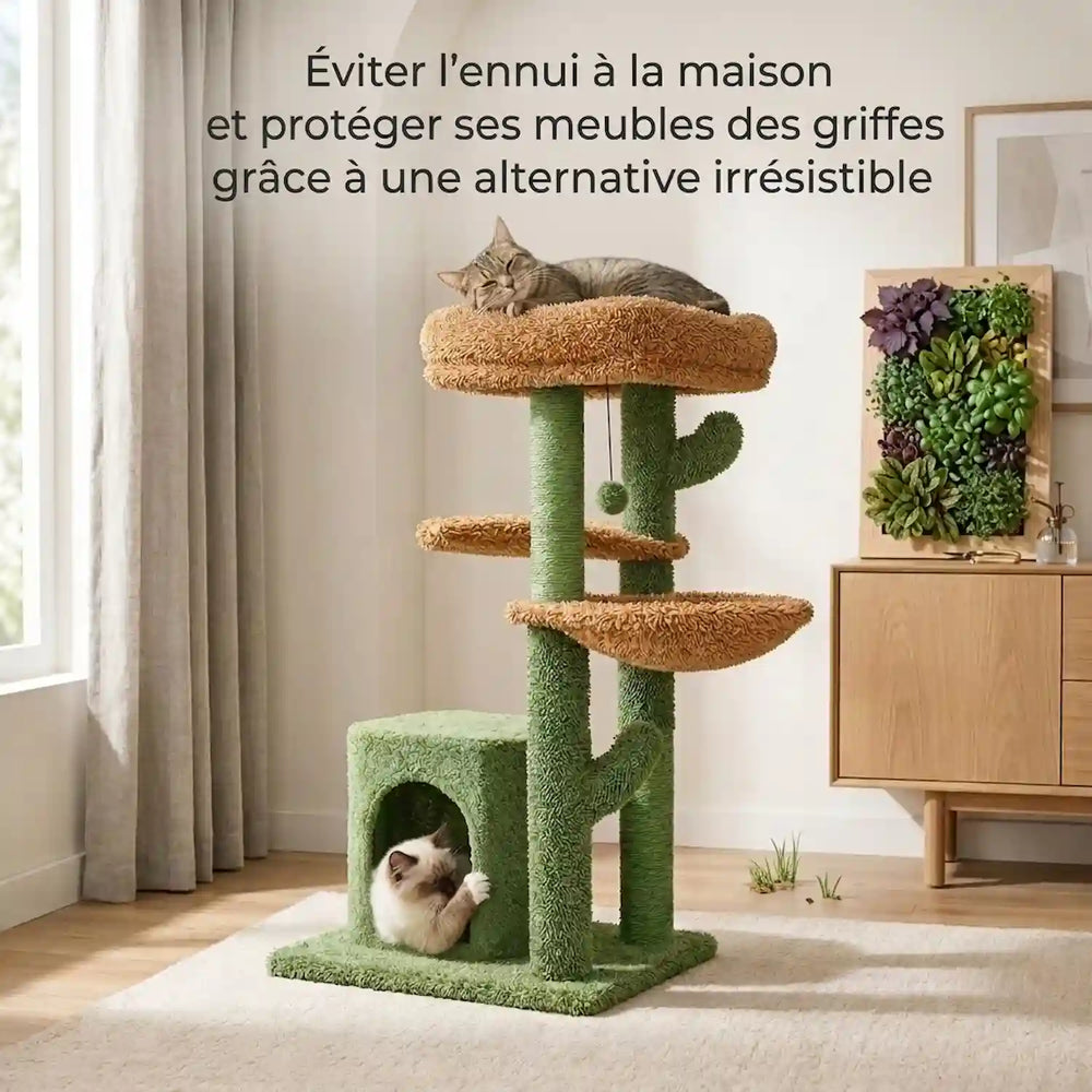 Un griffoir qui ne ressemble pas à un griffoir