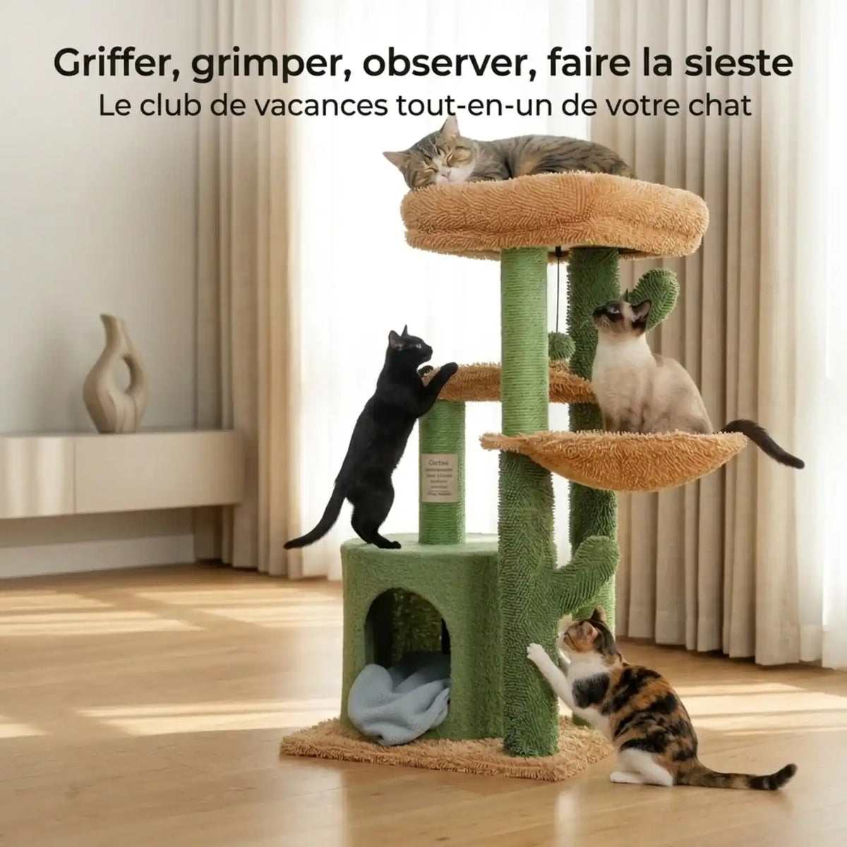 Arbre-a-Chat-Maison