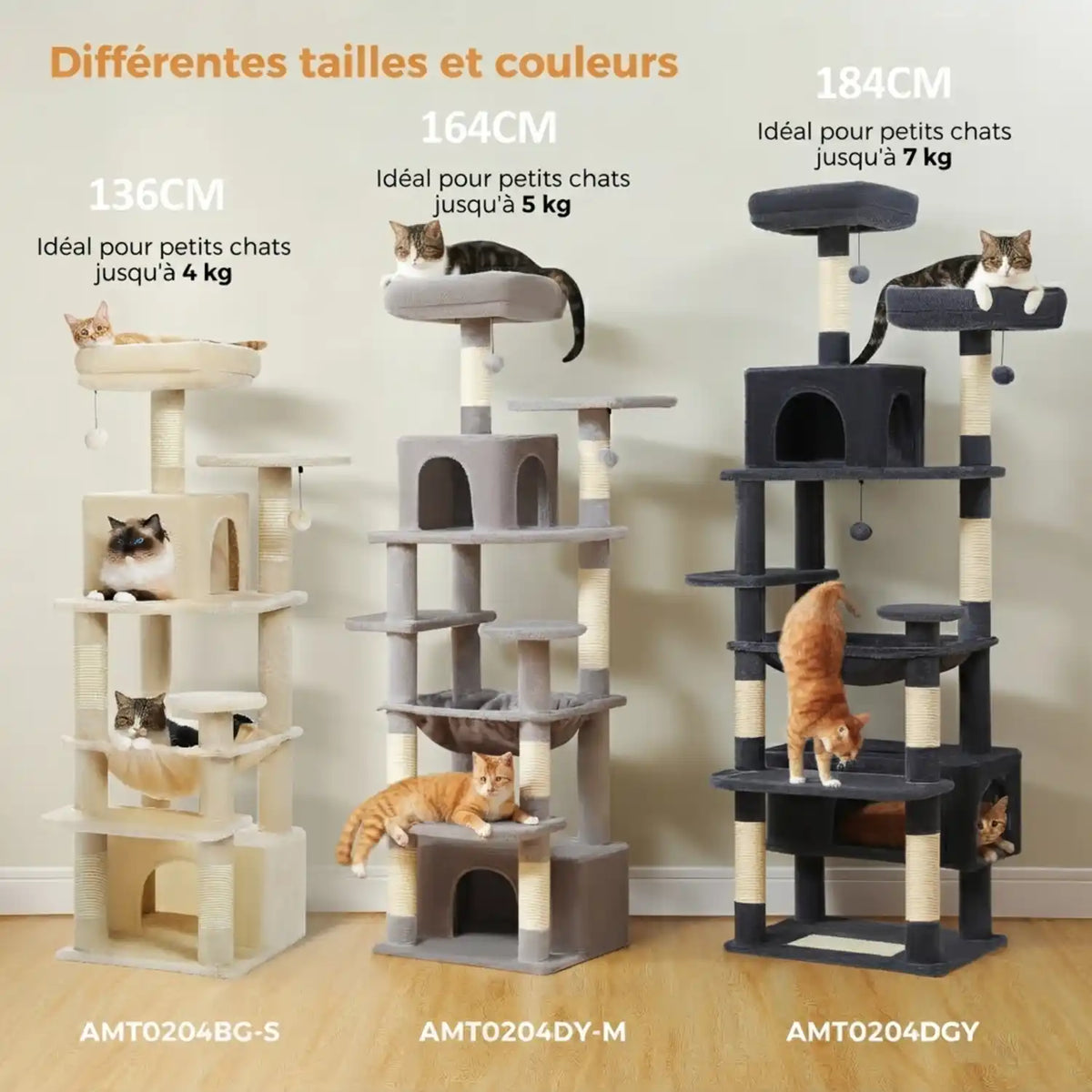 Arber pour Chat Couleur 