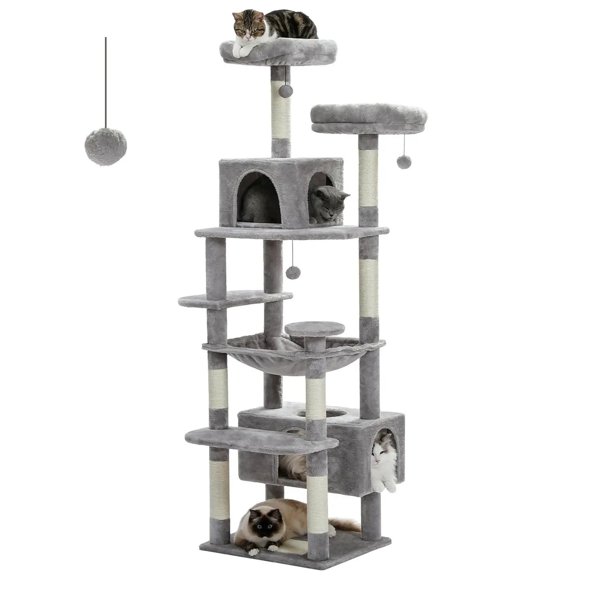 Arber pour Chat Couleur 