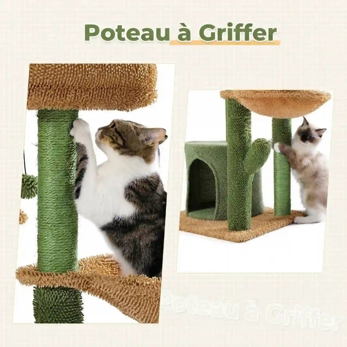 Arbre-a-Chat-Maison