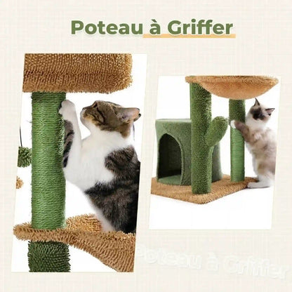 Arbre-a-Chat-Maison