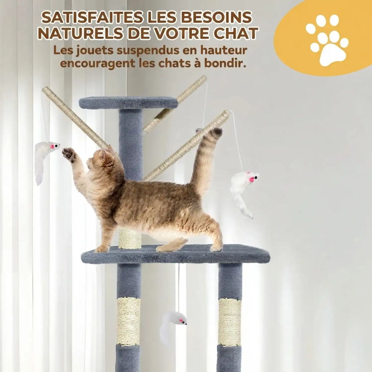 Arbre Chat 
