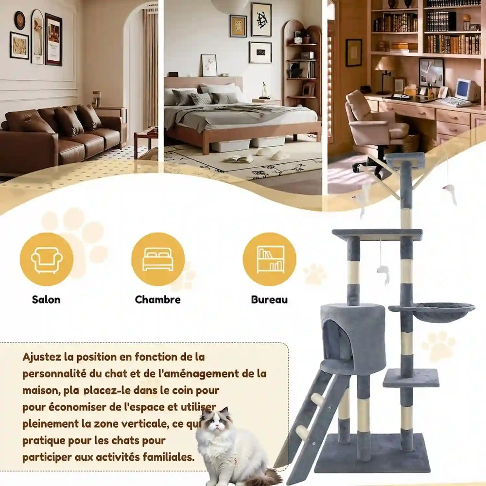 Un griffage qui protège les meubles