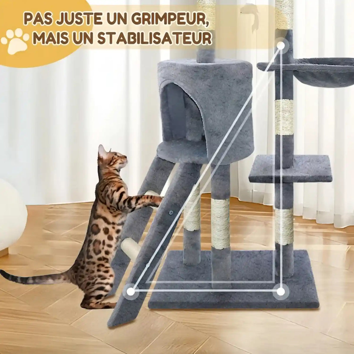 Arbre Chat 
