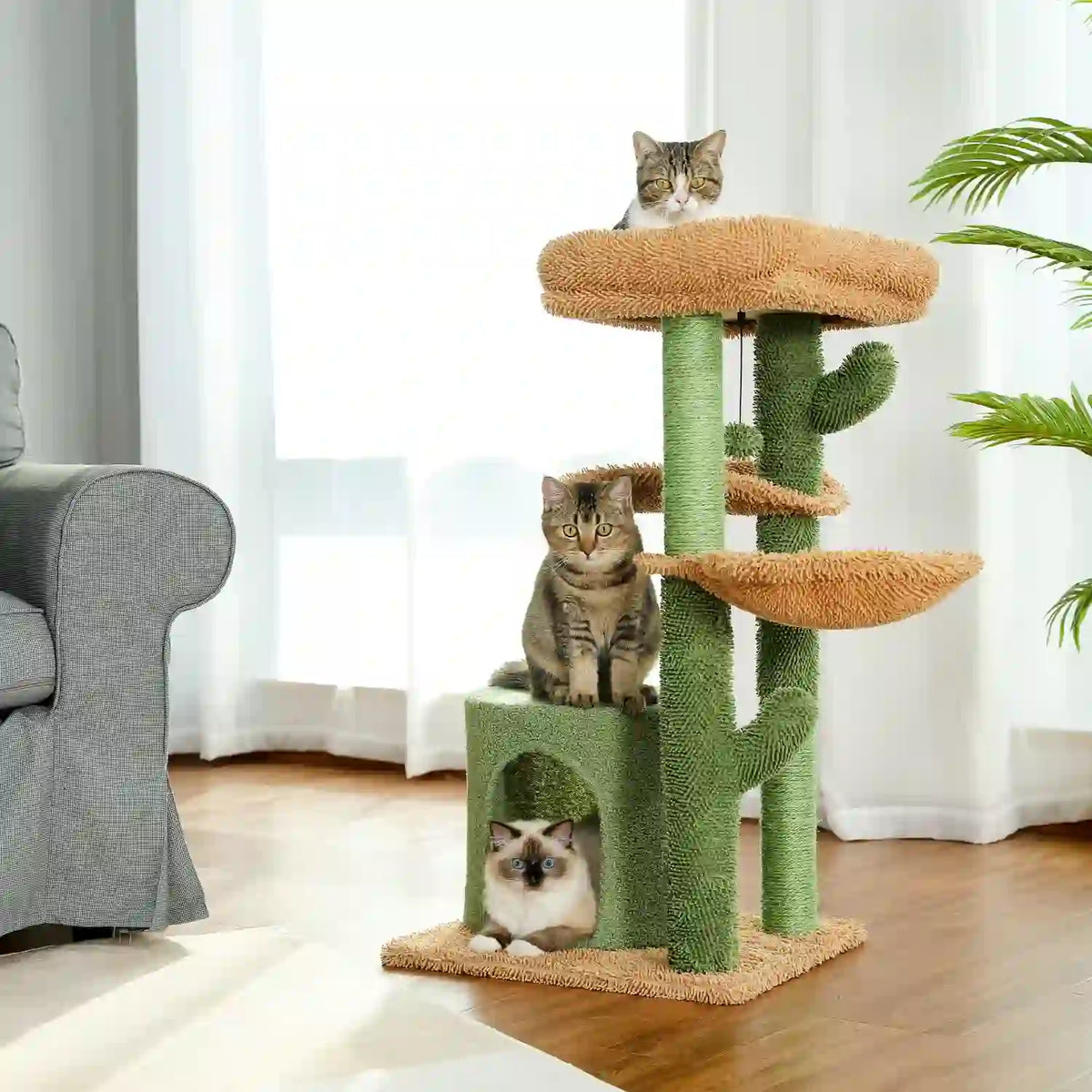 Arbre-a-Chat-Maison