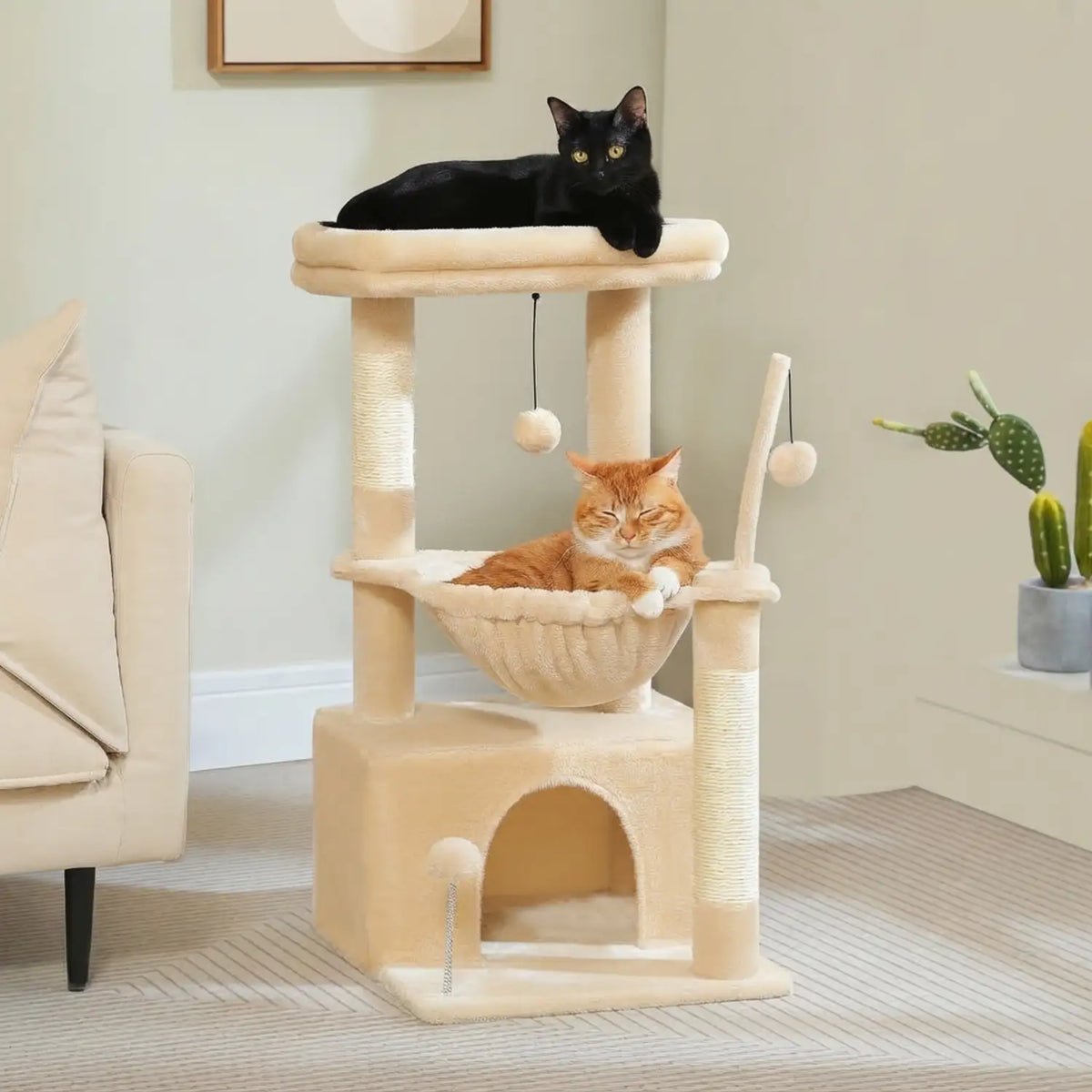 Arber -pour Chat Couleur 