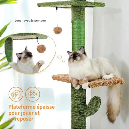 Arber-Chat_