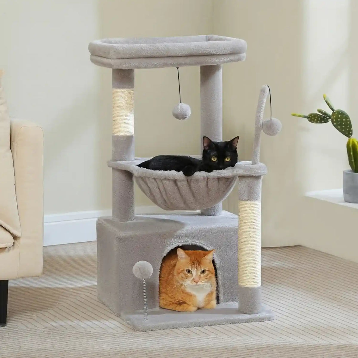 Arber -pour Chat Couleur 