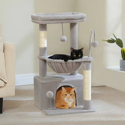 Arber -pour Chat Couleur 