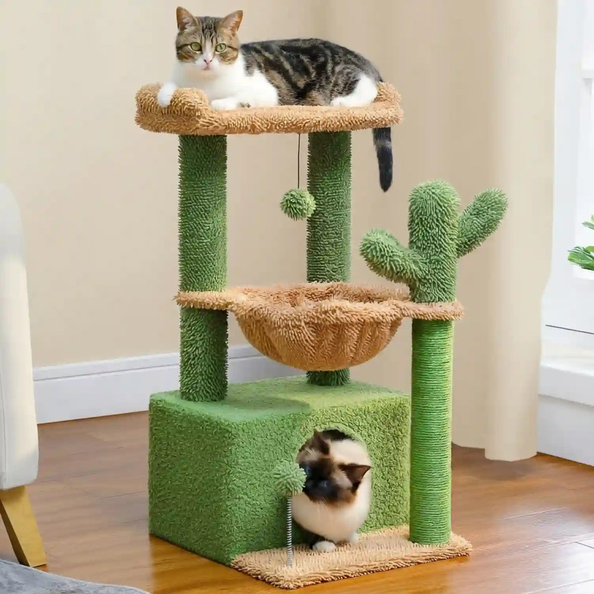 Arber -pour Chat Couleur 