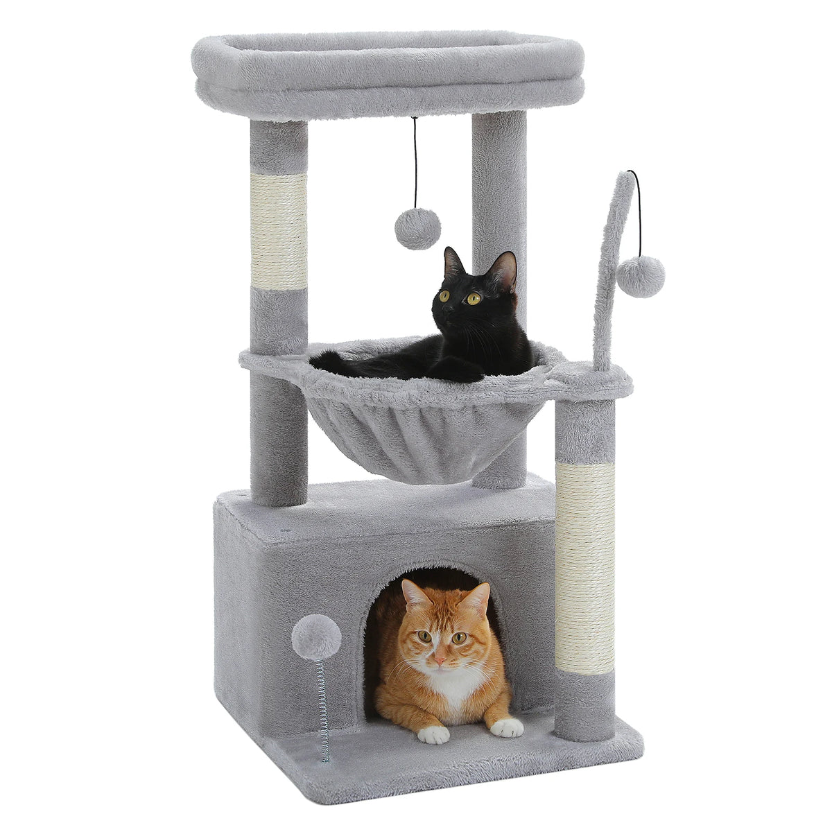 Arber -pour Chat Couleur 
