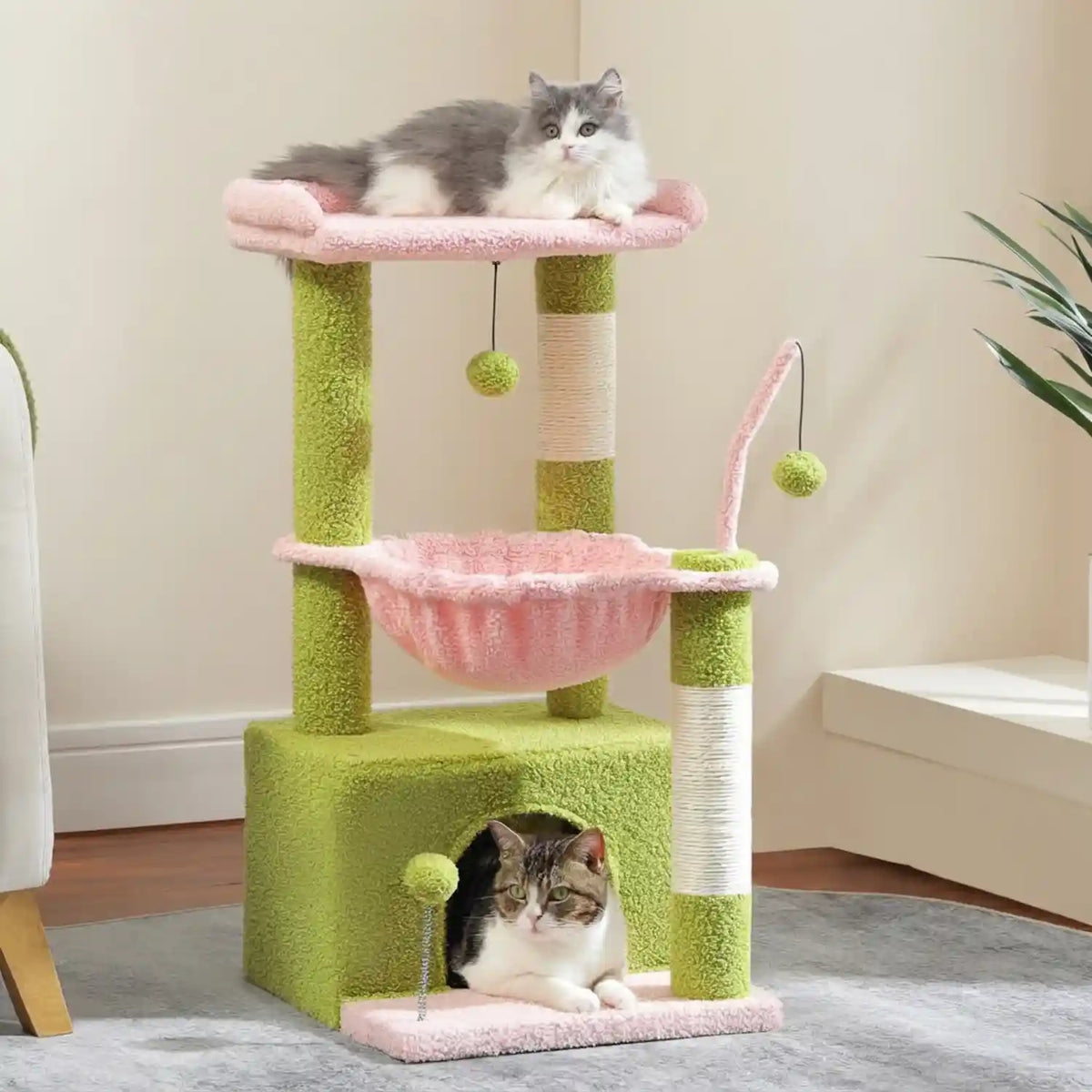 Arber -pour Chat Couleur 