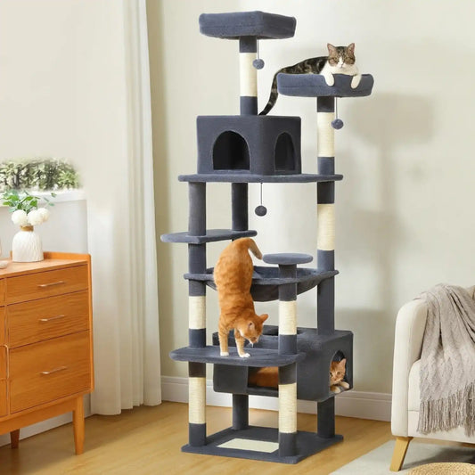 Arber pour Chat Couleur 