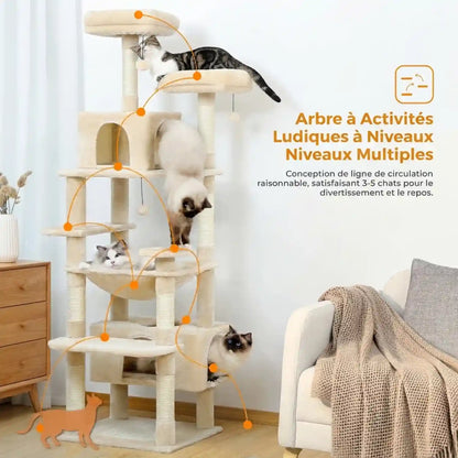Arber pour Chat Couleur 
