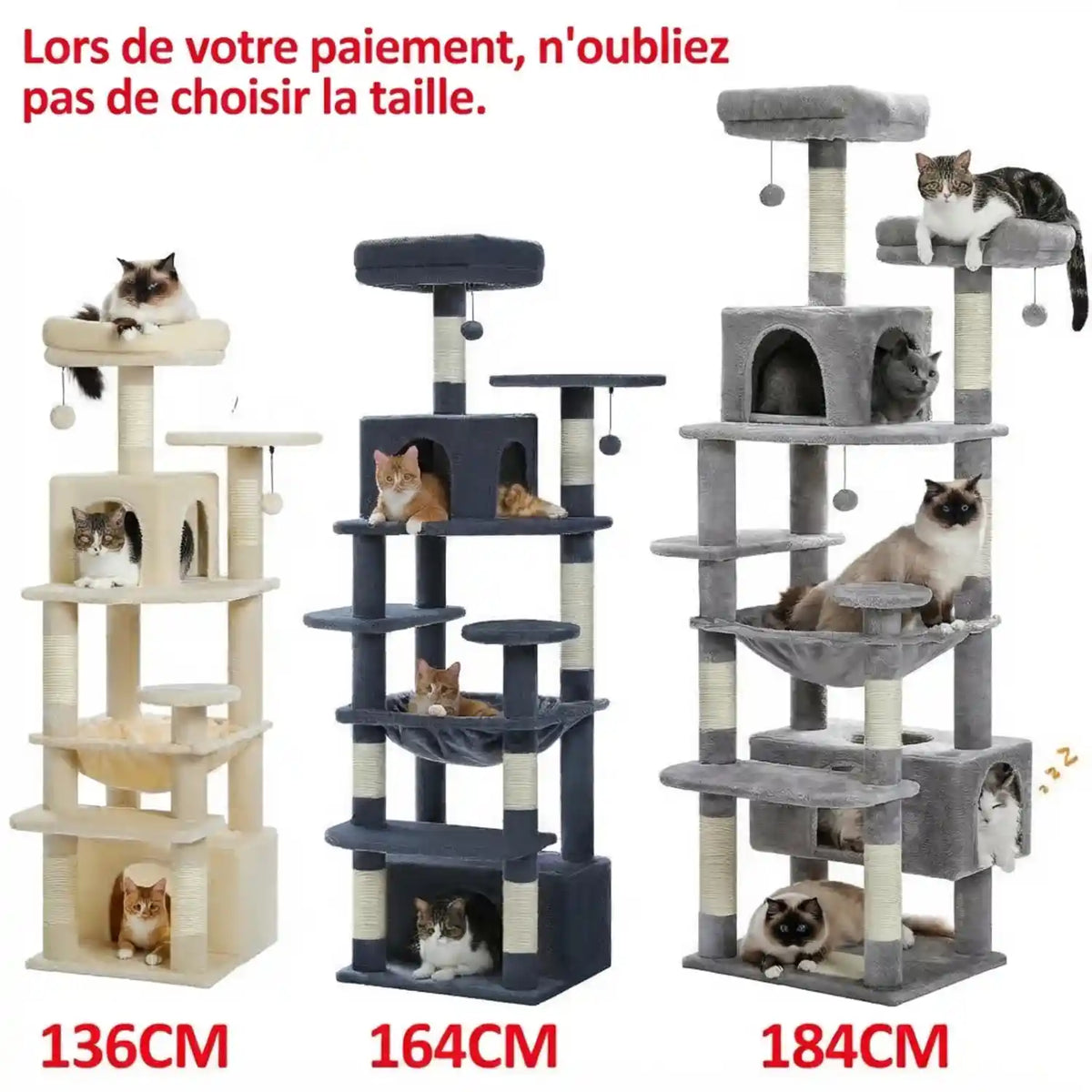 Arber pour Chat Couleur 
