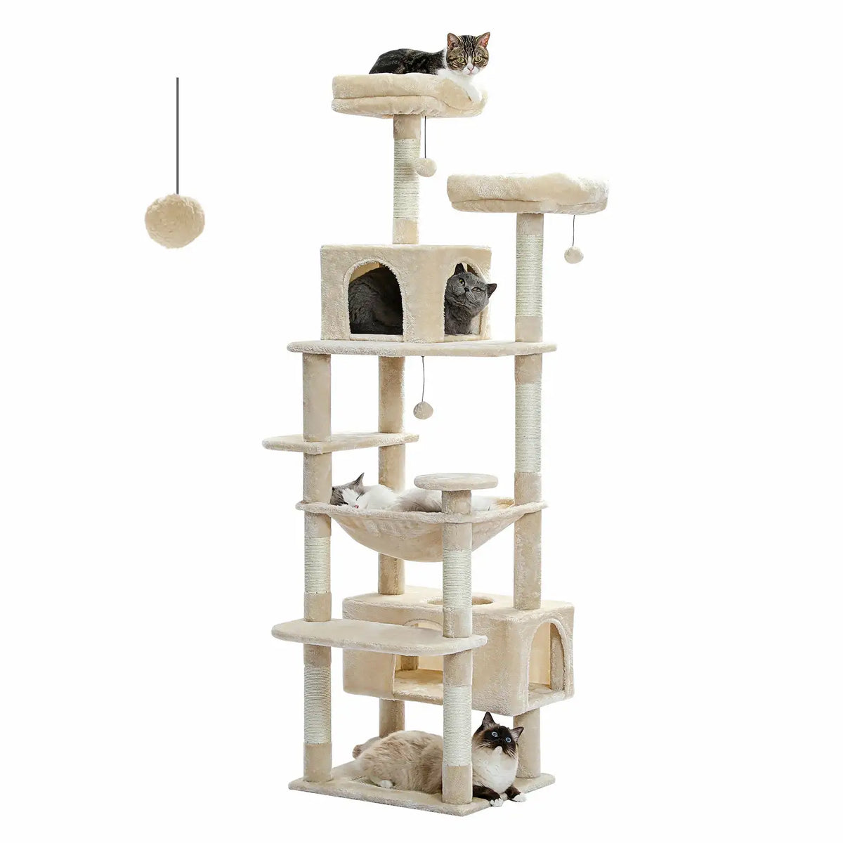 Arber pour Chat Couleur 