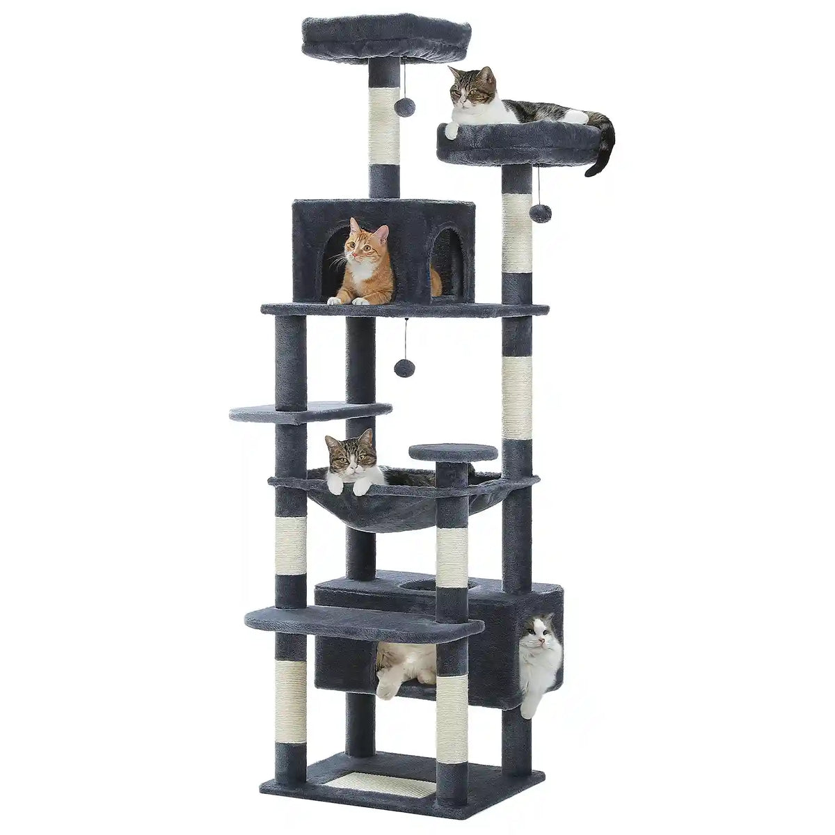 Arber pour Chat Couleur 