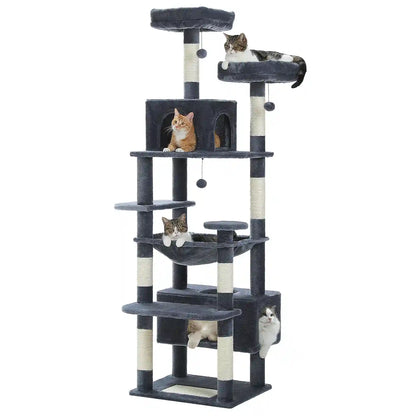 Arber pour Chat Couleur 