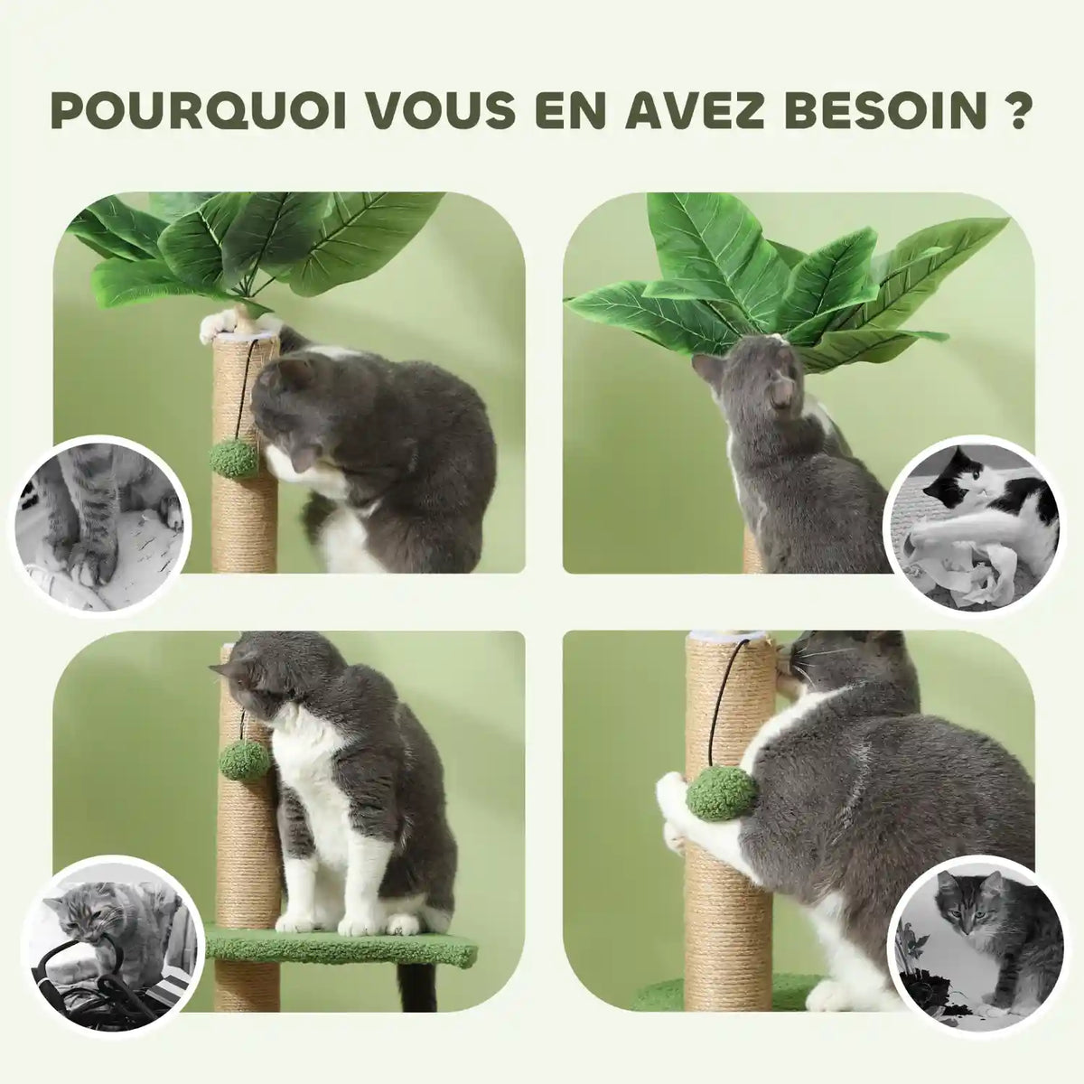 Arbre Chat 