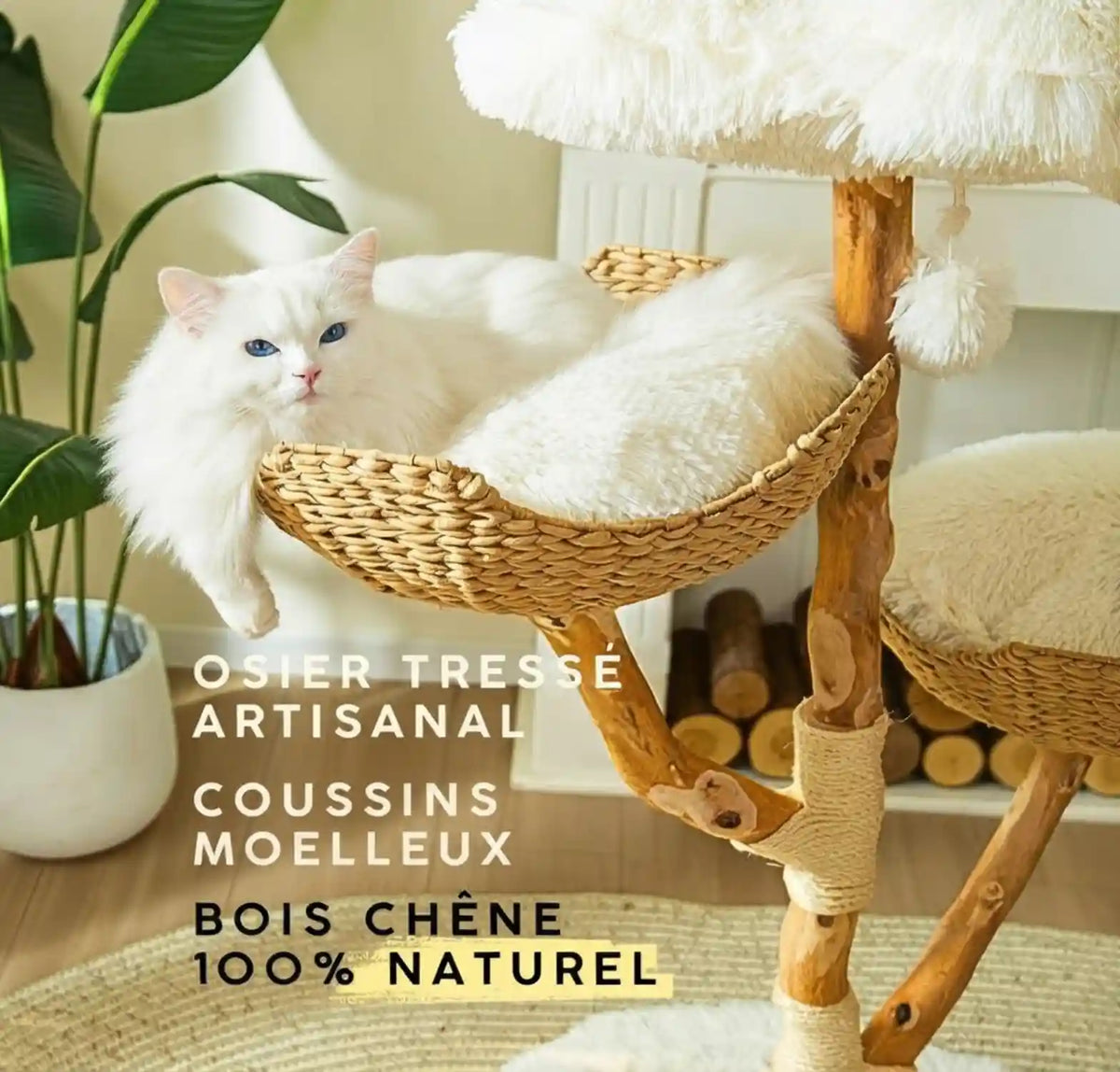 Arbre - a - chat - Design