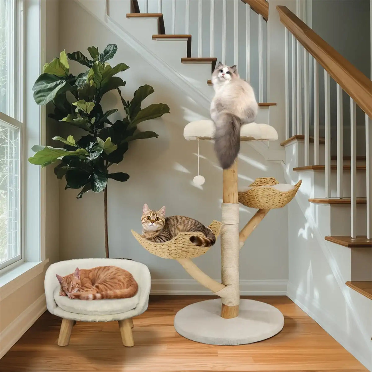 Arbre - a - chat - Design