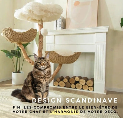 Arbre - a - chat - Design