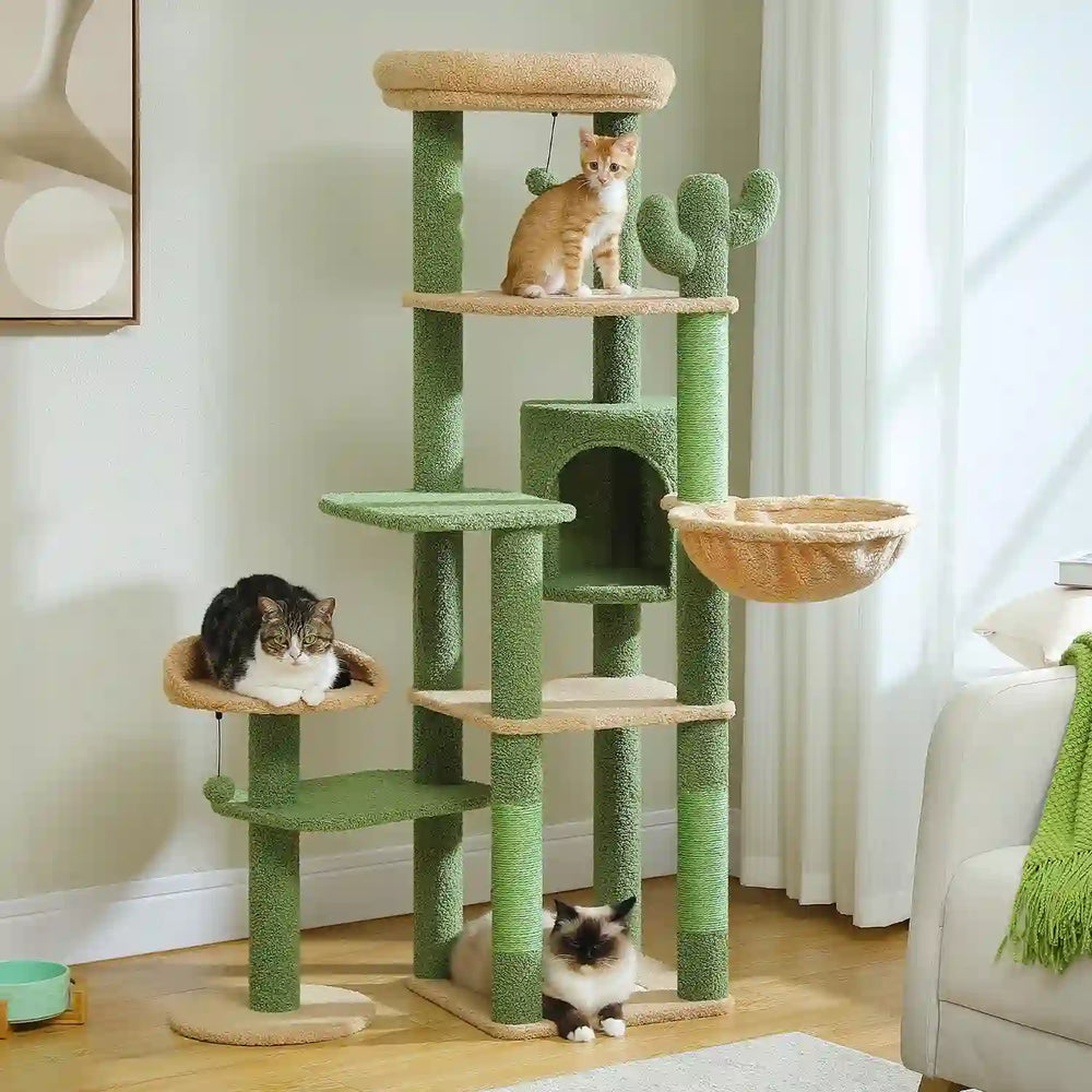 Un abri quand la maison s'agite