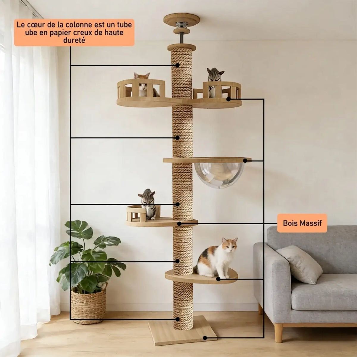 Arbre A chat 
