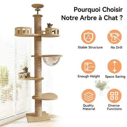 Arbre A chat 