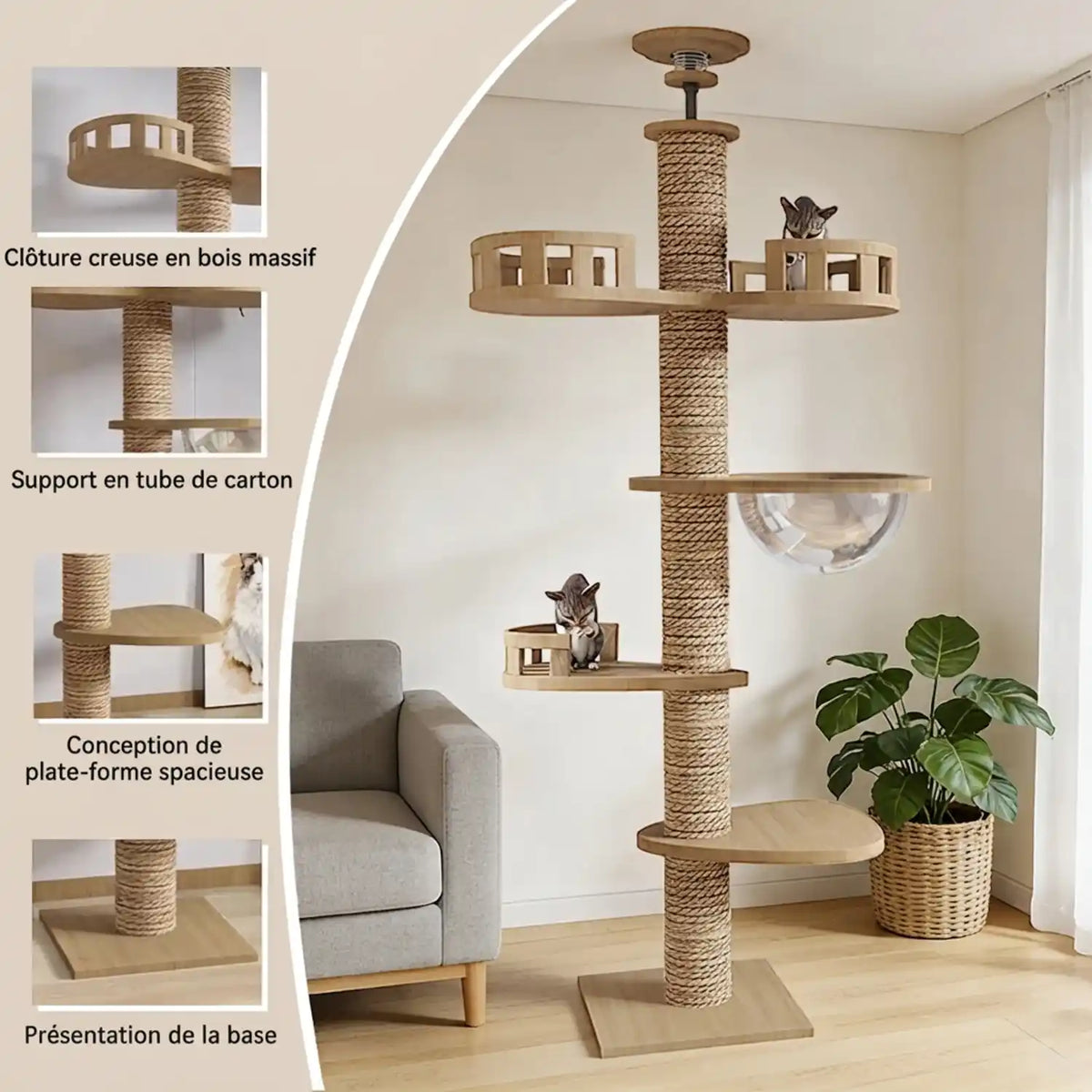 Arbre A chat 
