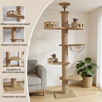 Arbre A chat 