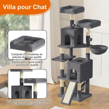 Arbre Chat