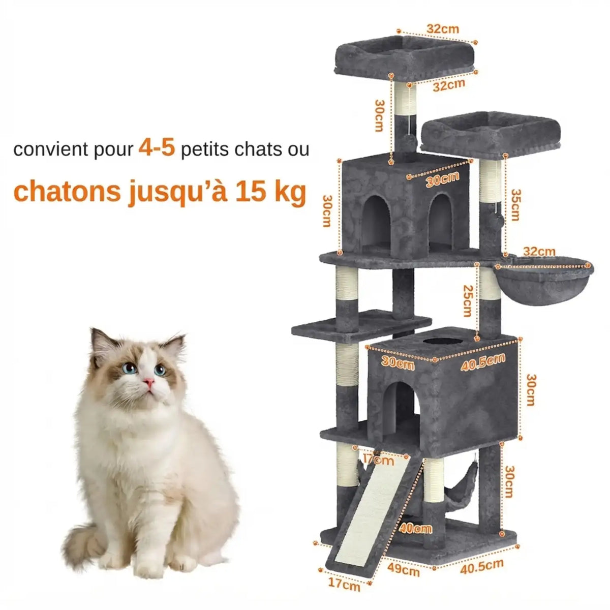 Arbre Chat