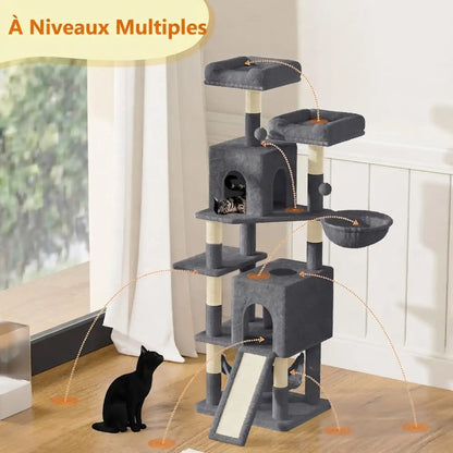 Arbre Chat