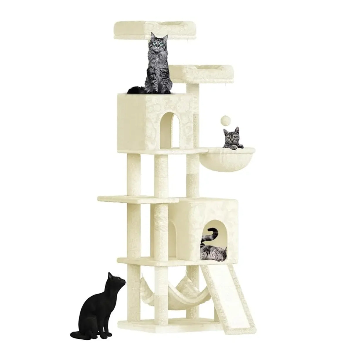 Arbre Chat
