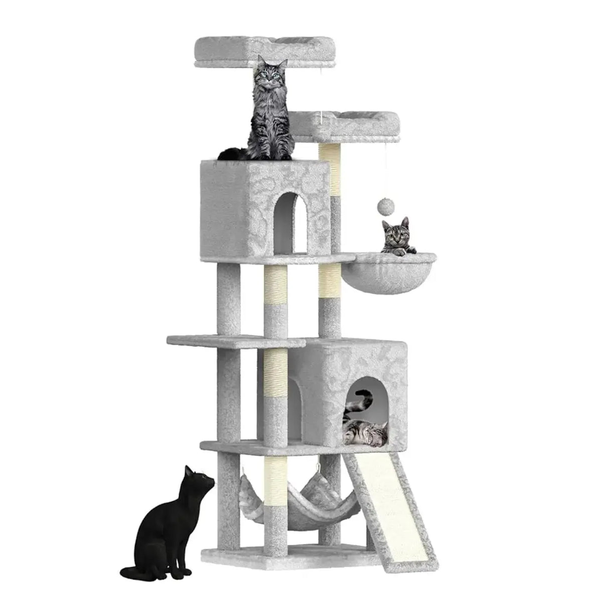 Arbre Chat