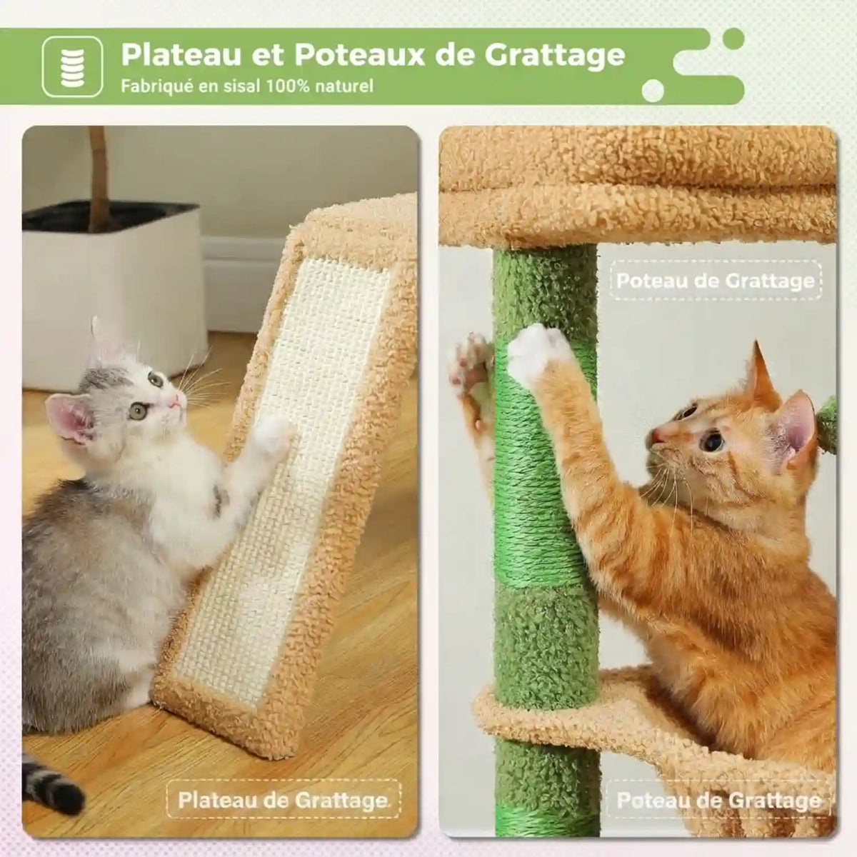 Arbre a Chat