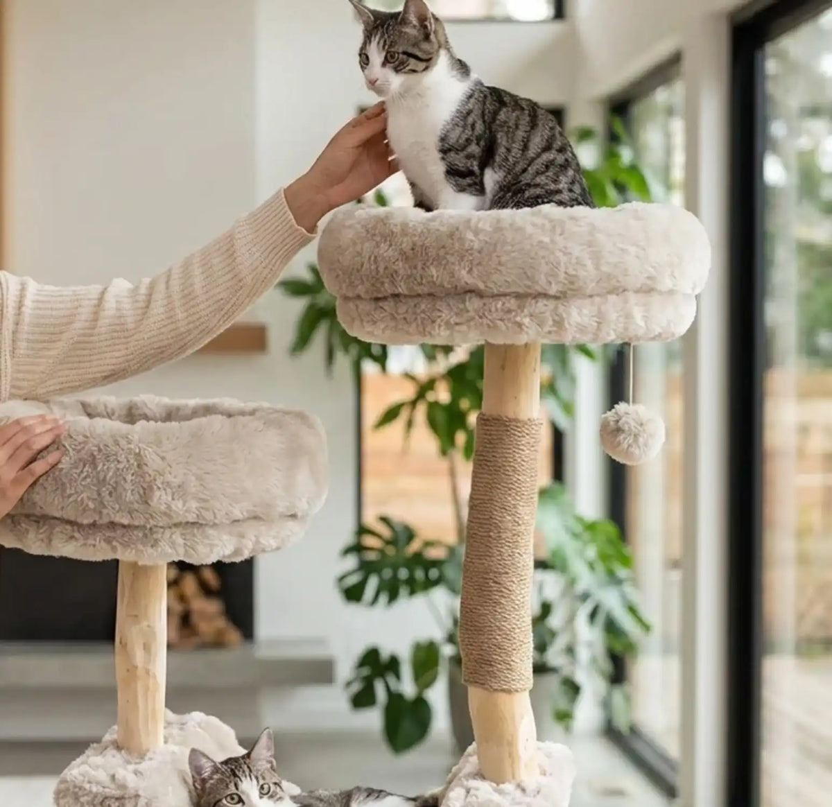 Arbre a chat désign Maison 
