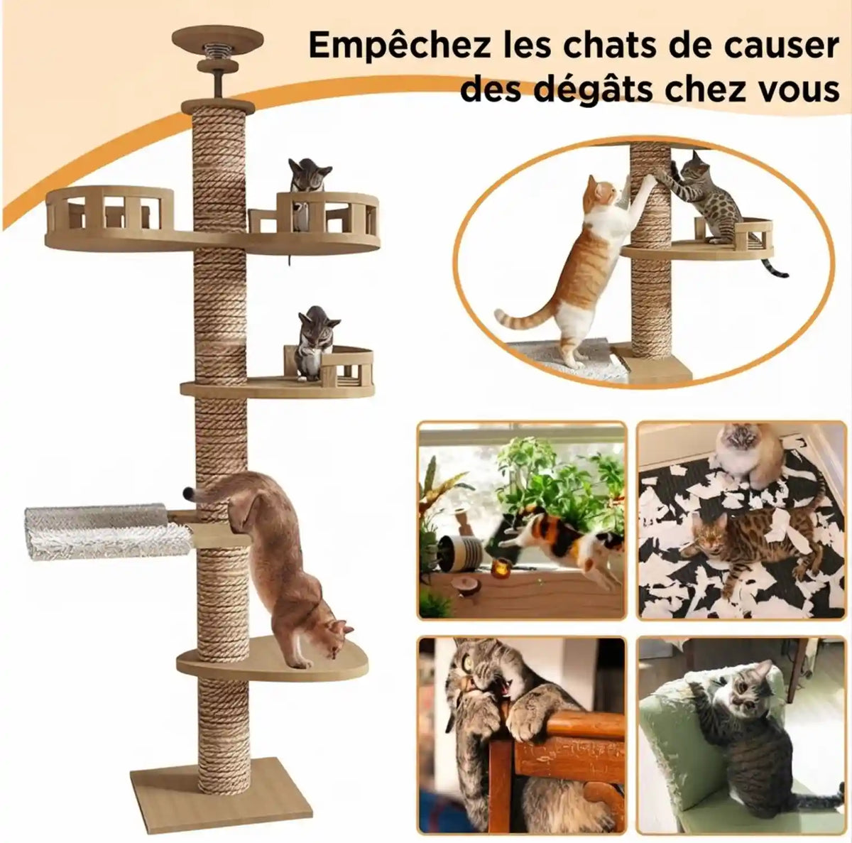 arbre- a-chat 
