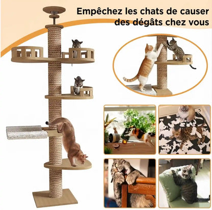 arbre- a-chat 