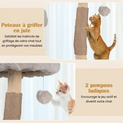 Arbre a chat désign Maison 
