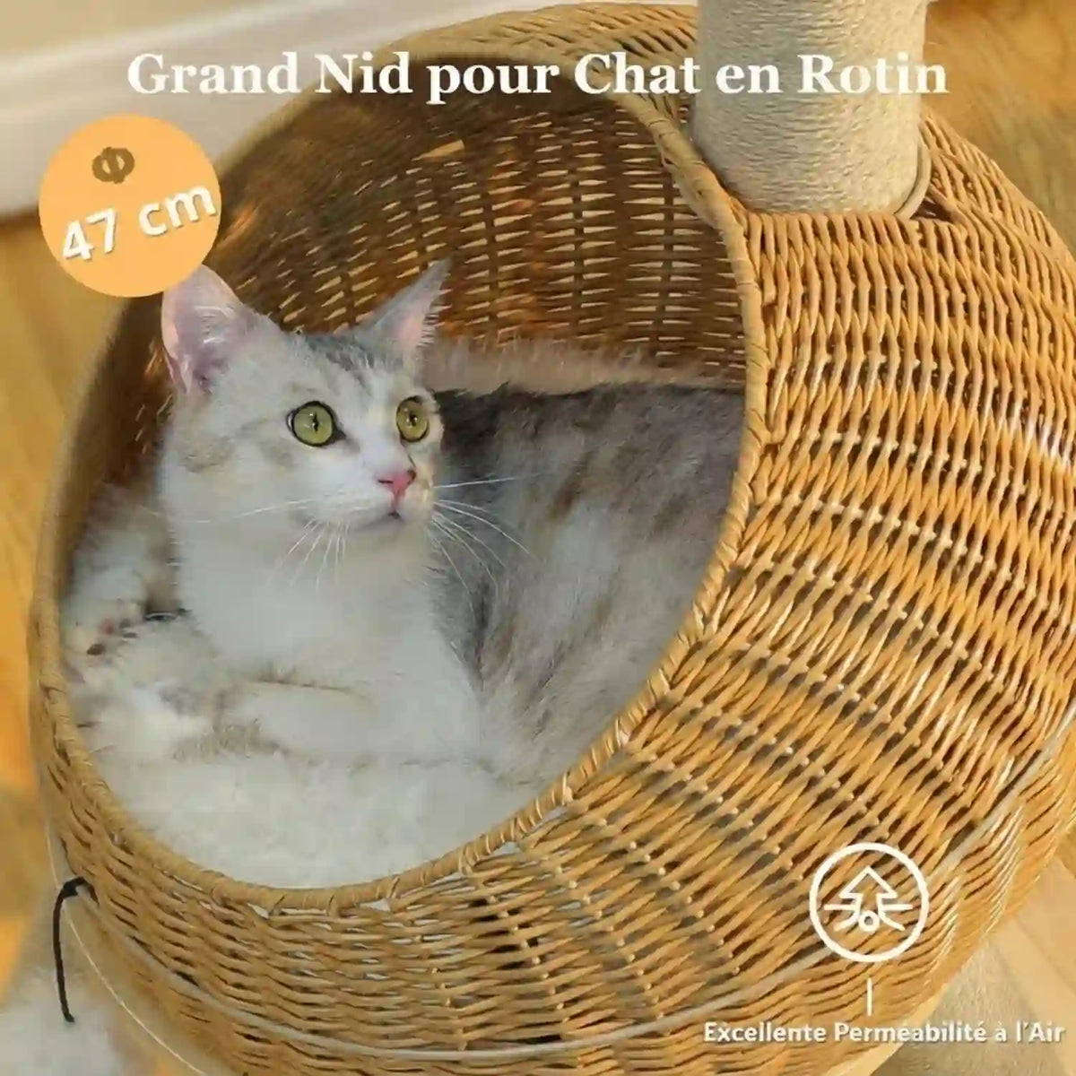 Arbre à Chat Original Forme Dinosaure en Osier Tressé