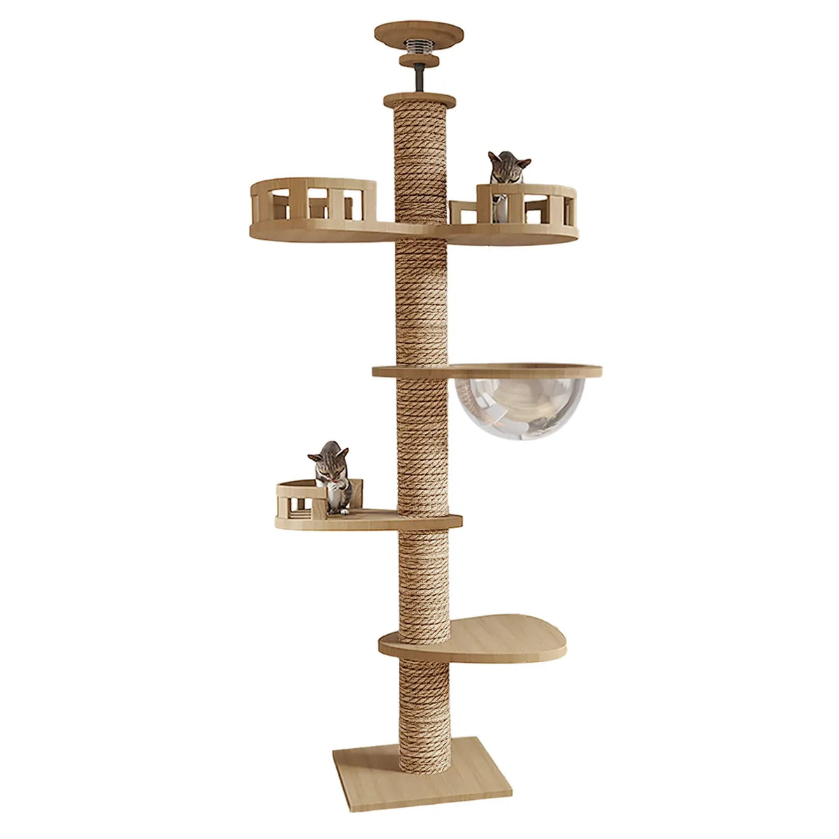 Arbre A chat 