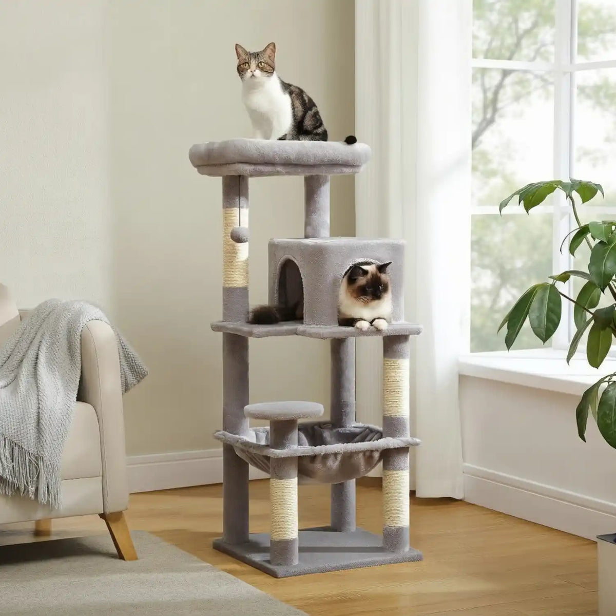Arbre achat et tours dans Meuble pour chats