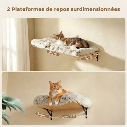 Arbres à chat et tours dans Meubles pour chats