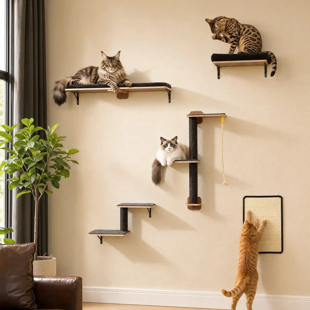 Assez solide pour les grands chats